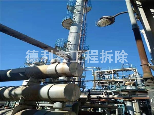 �����S���